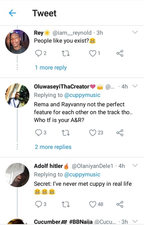 DJ Cuppy never met Rema Rayvanny 4.jpg